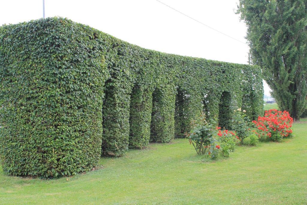 Villa Belvedere 1849 Misano di Gera dʼAdda Exteriör bild